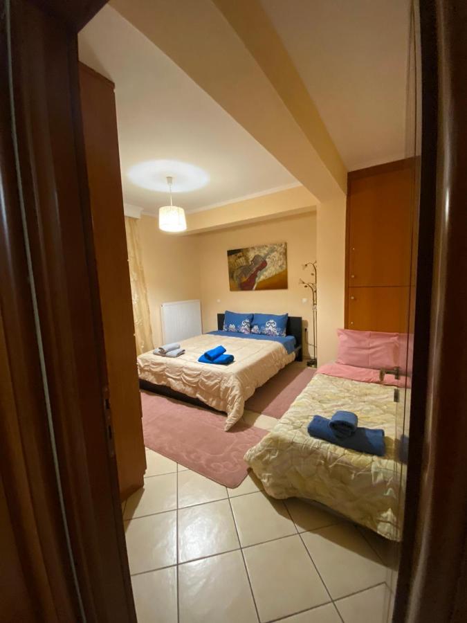 Bakopoulos Resort.Ενα Όμορφο Διαμέρισμα Με Τζάκι Tríkala Extérieur photo